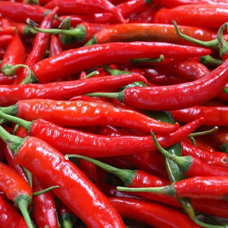 Piment
